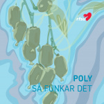 000364 Poly - så funkar det