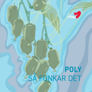 000364 Poly - så funkar det