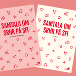 43717 Samtala om SRHR på SFI