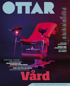 19604 OTTAR 2025 #2