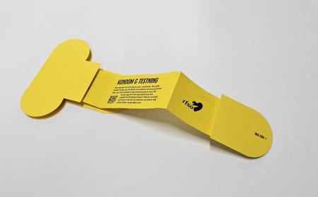 000100 Fakta om Penis